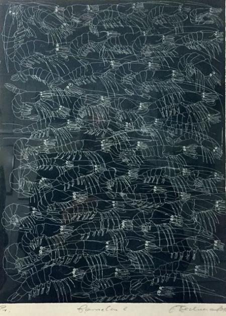 Otto Beckmann, Garnelen 2, 2012, Radierung Pr., 33x25cm, 210,-€, Galerie Stexwig